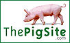 ThePigSite.com Logo